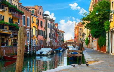Colorful houses of Venice