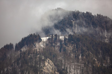 Fototapeta na wymiar Wolken ziehen über die vom Wald bewachsenen Bergen