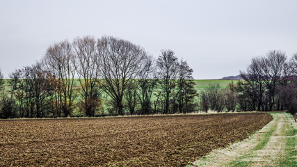 Obraz premium Landschfaft im Winter 