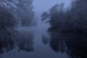Foggy forest river at night