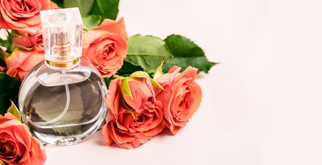 Perfume and coral roses on a pink background