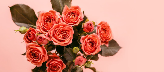 Bouquet of beautiful coral roses close-up. Banner format