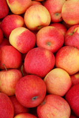pile of red apples