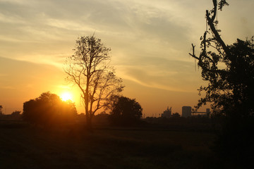 Fototapeta premium morning light
