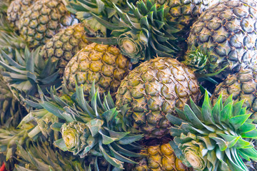 Fresh ripe pineapples in fruit market,tropical fruit juicy,diet vegetarian