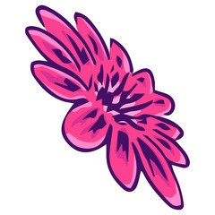 Flower bud. Vector illustration of a flower. Hand drawn flower.