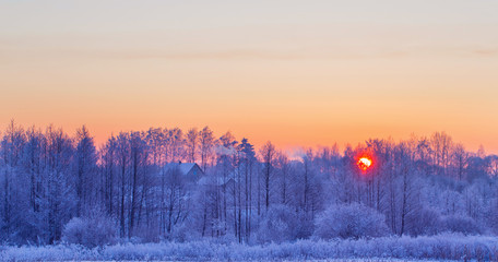 Fototapeta na wymiar the beautiful winter landscape