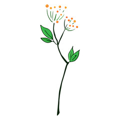 Flower icon. Vector of a flower. Hand drawn flower..