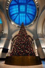 Christmas tree under the glass dome at railway station. Beautiful Interior of shopping centre in...