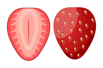 Ripe red strawberry berry two halves cut form on white background. Vector illustration of summer healthy vitamin food. Seasonal food, healthy food