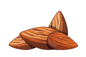Color image of a group of almond nuts on a white background. Healthy and dietary food. The element of proper nutrition. Vector illustration of a nut fruit