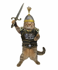 The cat hero in a helmet with a feather and a chain mail holds a sword. White background.