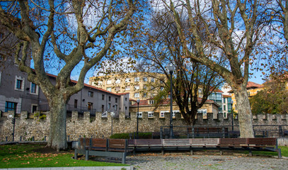 Buildings and trees 1