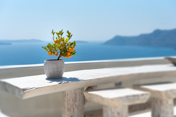 Oia - Terrace on the Aegean sea - Santorini Cyclades Island - Greece