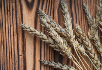 Dry ears of wheat on a wooden background.