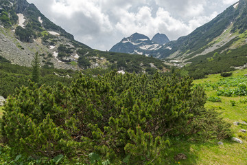 Fototapeta premium Summer landscape of Malyovitsa peak and Malyoviska river, Rila Mountain, Bulgaria