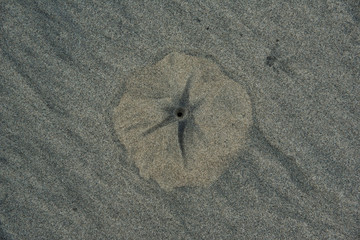micro volcano in the sand