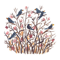 Flock of black birds sitting on leafless tree branches. Illustration painted in watercolor on clean white background