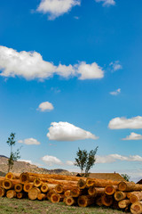 stacked logs against the sky. several logs lie on the ground. bottom view.