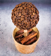 Beautiful Coffee Topiary