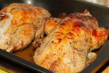 Close-up of two roast ducks in a roaster. Crispy whole roast ducks