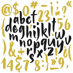 Latin calligraphic alphabet written with brush 