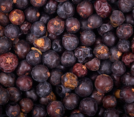 Close up picture of dried juniper berries, selective focus.