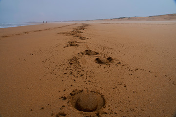 Hufspur Pferd Strand Marokko Sommer
