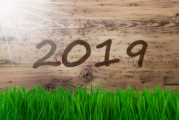 Sunny Wooden Background, Gras, Text 2019, Brown Wooden Background