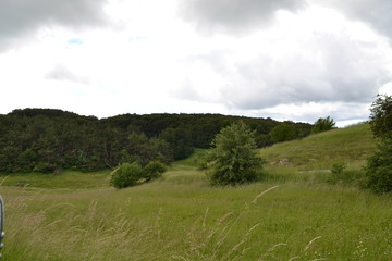 Природа Крыма