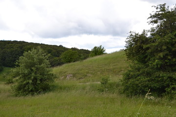 Природа Крыма