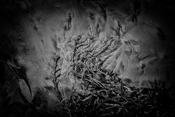 San Diego, California (USA)