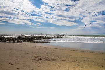 San Diego, California (USA)
