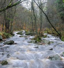 Obraz premium Hoegne im Herbst