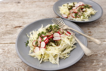 Vegetarian salad of radish, cabbage and sorrel. 