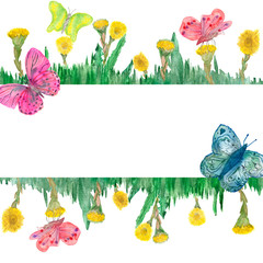 Bright watercolor pattern, green grass with leaves, yellow flowers and butterflies on white background. Spring fresh pattern with bright print, hand painted for beautiful greeting cards design, holida