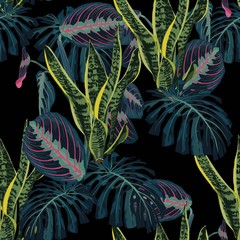 Bezszwowy wzór z tropikalnymi monstera palmowymi liśćmi i egzotyczną rośliną na czarnym tle. - 241470398