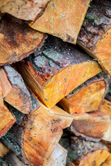 Pile of chopped fire wood prepared for winter