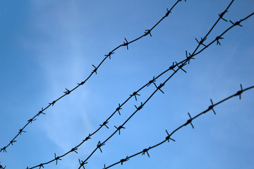 Barbed wire. Barbed wire on fence with blue sky to feel worrying.