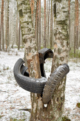 A torn tire hanging from a tree.
