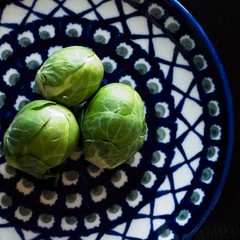 Three brussel sprouts on polish pottery