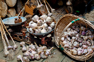 garlic billet scales bucket
