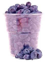 honeysuckle Cup transparent insulated