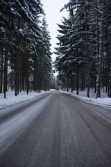Fototapeta premium road in winter forest