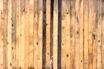 Multicolored wooden surface with old faded paint texture