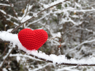 Valentine heart in winter forest. Red knitted symbol of romantic love in the snow on tree branches, concept of Valentines day or blood donation