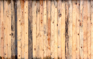 Obraz premium Multicolored wooden surface with old faded paint texture