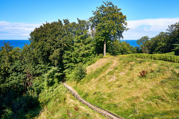 Fototapeta na wymiar Trail on a slope overlooking the Baltic Sea. In Lohme on the island of Rügen.