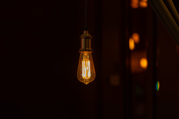 Decorative bulbs in vintage style Edison