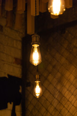 Decorative bulbs in vintage style Edison